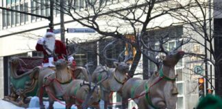 モントリオールからのアルバム11月