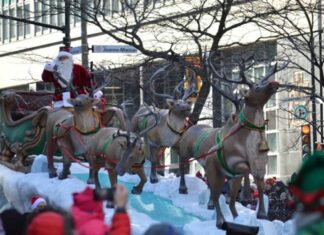 モントリオールからのアルバム11月