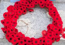 日系リメンバランスデー式典、戦後80年に改めて平和を願う リメンバランスデーの象徴ポピー。2025年11月11日、バンクーバー市。撮影 日加トゥデイ