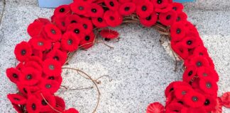 日系リメンバランスデー式典、戦後80年に改めて平和を願う リメンバランスデーの象徴ポピー。2025年11月11日、バンクーバー市。撮影 日加トゥデイ