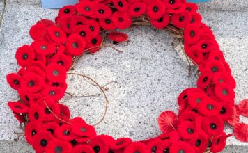 日系リメンバランスデー式典、戦後80年に改めて平和を願う リメンバランスデーの象徴ポピー。2025年11月11日、バンクーバー市。撮影 日加トゥデイ