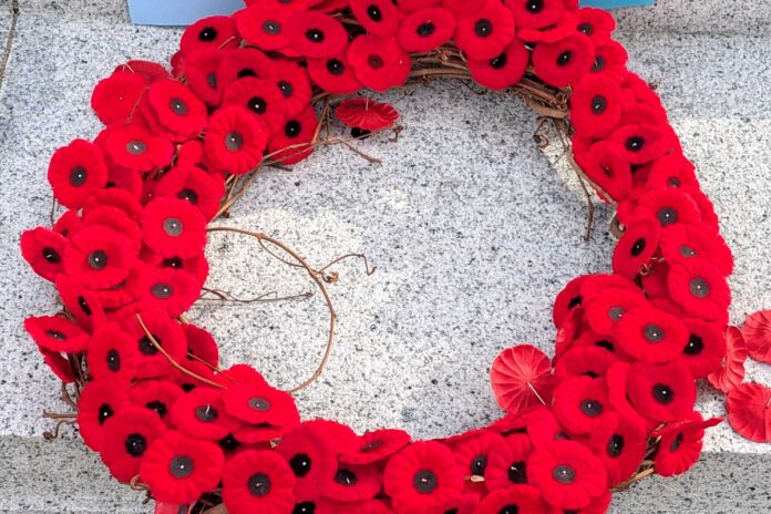 リメンバランスデーの象徴ポピー。2025年11月11日、バンクーバー市。撮影　日加トゥデイ