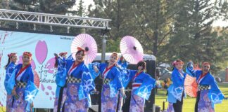 「よさこい、海を越えて」北米初の国際祭りがカナダで実現 桜の模様が鮮やかな青い衣装をまとい、和傘を手に舞う「桜舞トロント(Sakuramai Toronto)」の踊り子たち。トロントを拠点に、カナダ各地でよさこいの魅力を伝えている。2025年9月27日、アルバータ州レスブリッジ市。提供: KOKUYOSA Project Committee
