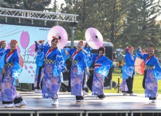 「よさこい、海を越えて」北米初の国際祭りがカナダで実現 桜の模様が鮮やかな青い衣装をまとい、和傘を手に舞う「桜舞トロント(Sakuramai Toronto)」の踊り子たち。トロントを拠点に、カナダ各地でよさこいの魅力を伝えている。2025年9月27日、アルバータ州レスブリッジ市。提供: KOKUYOSA Project Committee