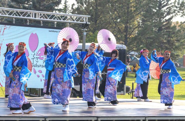 「よさこい、海を越えて」北米初の国際祭りがカナダで実現 桜の模様が鮮やかな青い衣装をまとい、和傘を手に舞う「桜舞トロント(Sakuramai Toronto)」の踊り子たち。トロントを拠点に、カナダ各地でよさこいの魅力を伝えている。2025年9月27日、アルバータ州レスブリッジ市。提供: KOKUYOSA Project Committee