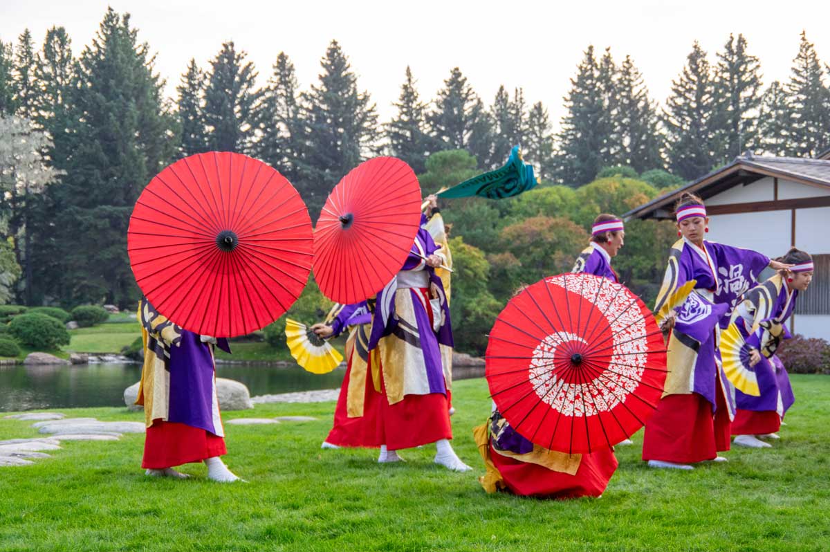 アメリカ・サンノゼを拠点に活動する「渦丸(Uzumaru)」の演舞。赤い和傘を使った華やかな舞で、よさこいの魅力を力強く表現した。2025年9月27日、アルバータ州レスブリッジ市。提供: KOKUYOSA Project Committee