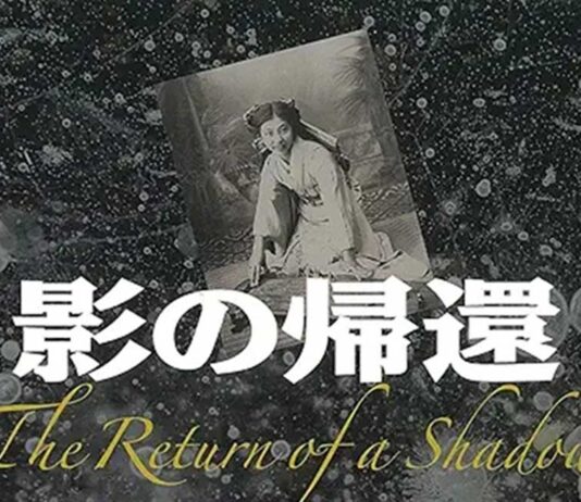 『影の帰還』の出版―The Return of a Shadowの日本語版― The Return of a Shadowの日本語版『影の帰還』山岸邦夫著