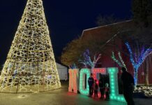 2025年 バンクーバーイルミネーション特集 ライトナイトの屋外エリアの様子。2025年11月26日、サレー市。撮影:日加トゥデイ