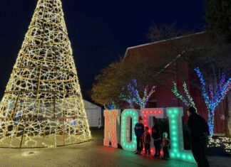 2025年 バンクーバーイルミネーション特集 ライトナイトの屋外エリアの様子。2025年11月26日、サレー市。撮影:日加トゥデイ