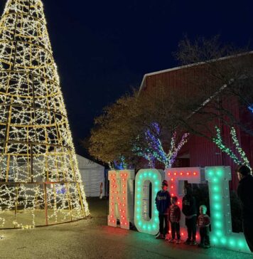 2025年 バンクーバーイルミネーション特集 ライトナイトの屋外エリアの様子。2025年11月26日、サレー市。撮影:日加トゥデイ