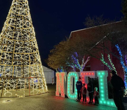 2025年 バンクーバーイルミネーション特集 ライトナイトの屋外エリアの様子。2025年11月26日、サレー市。撮影:日加トゥデイ