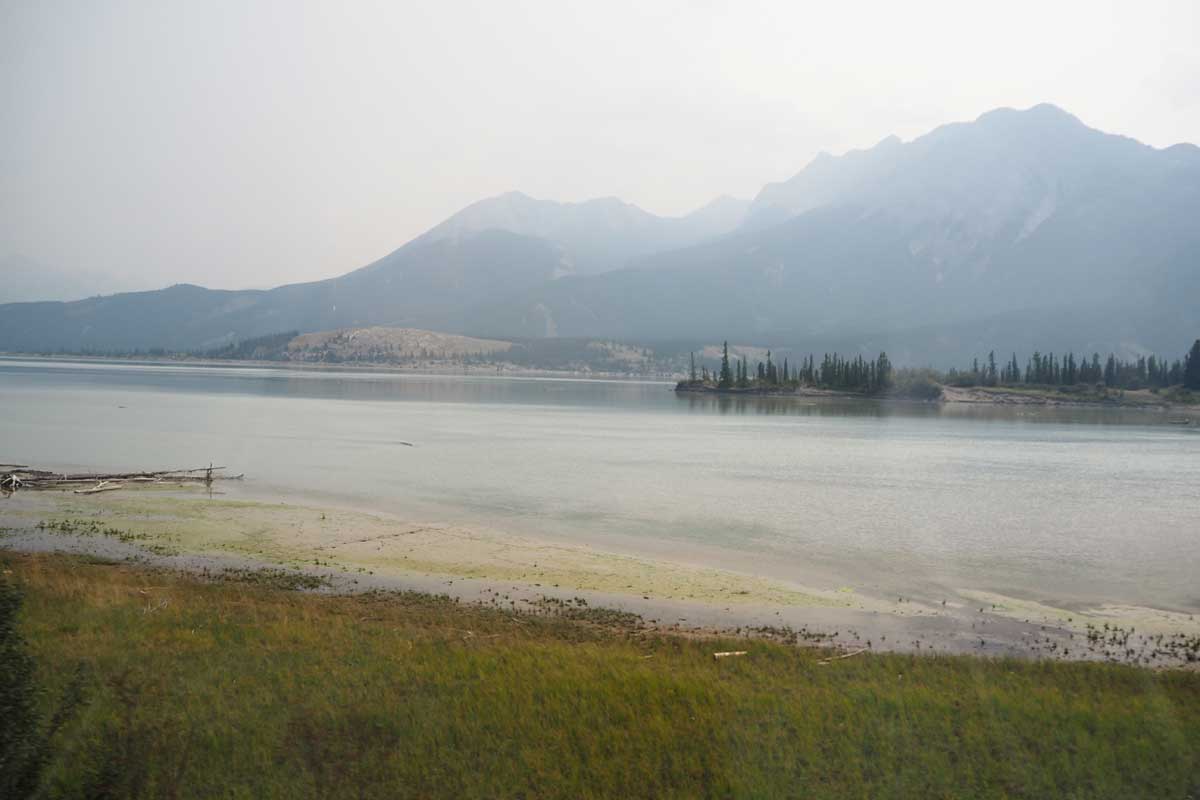 西部アルバータ州で「カナディアン」から眺めた車窓(2024年8月、大塚圭一郎撮影)