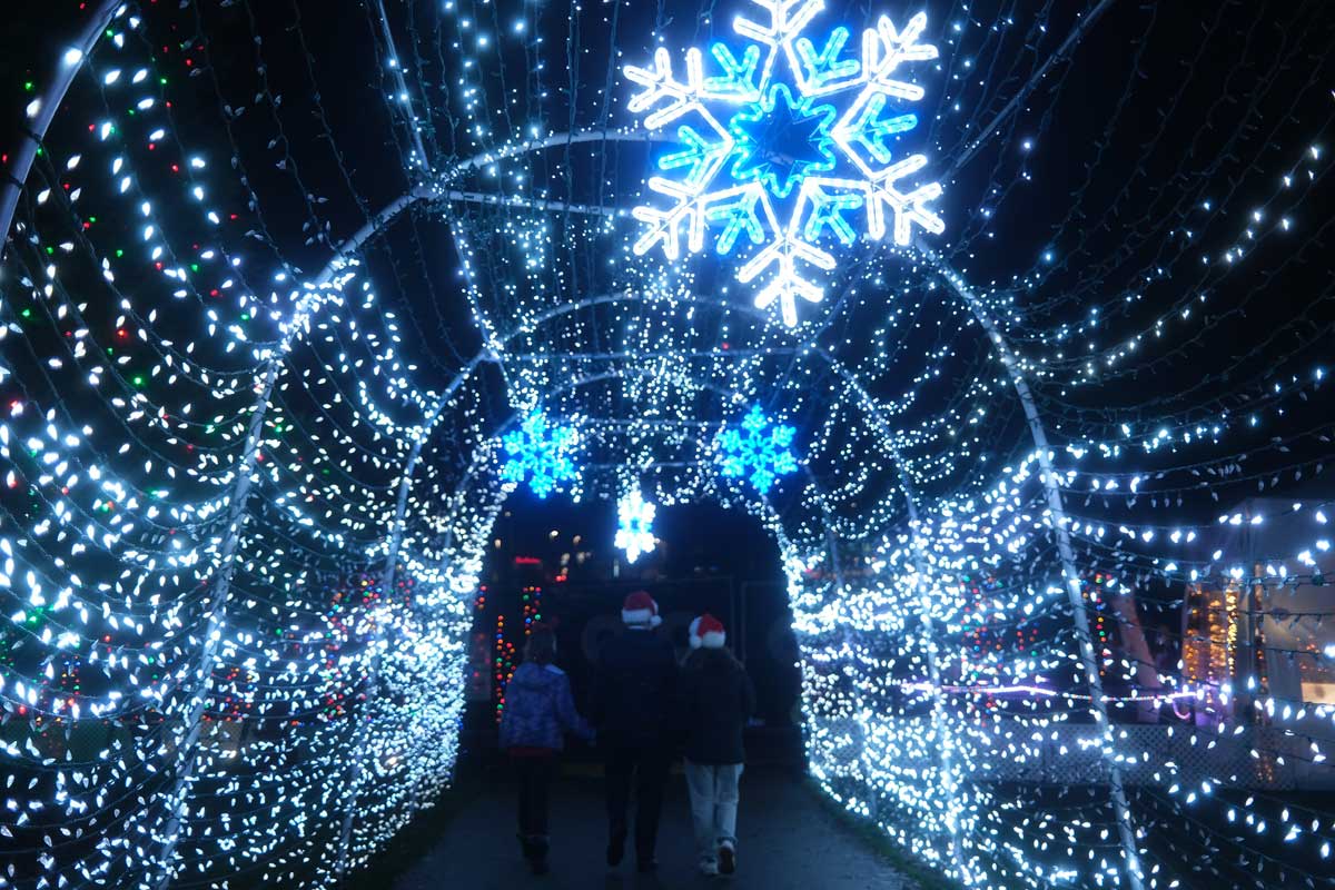 約300万個のライトが作るトンネルを歩く来場者。幻想的な空間が広がる。2025年11月26日、サレー市。撮影：田上麻里亜