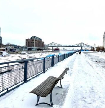 モントリオール 2026年1月・2月のイベント情報