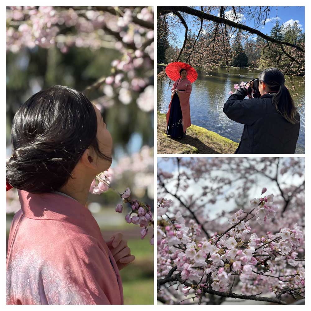 「桜の下で着物の撮影」By コナともこ