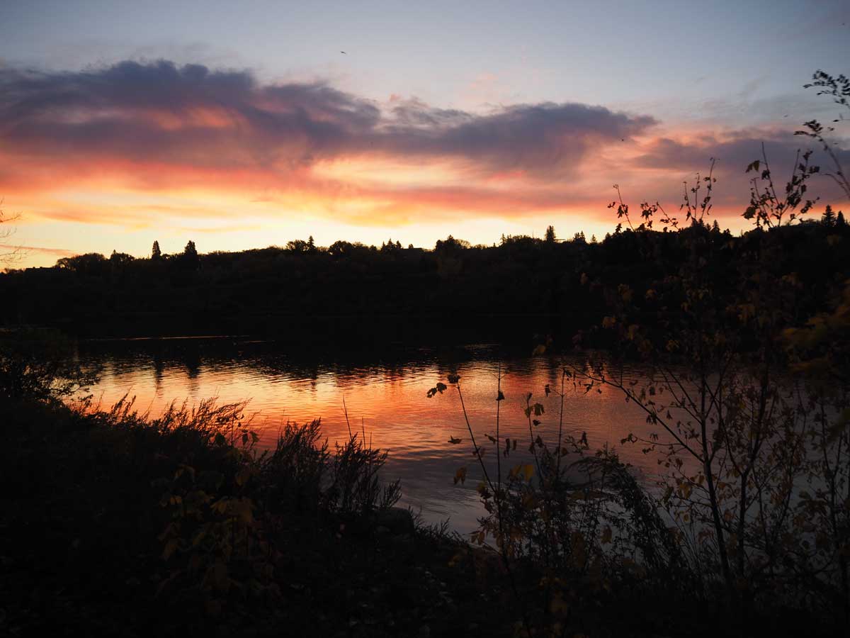 早朝のサウスサスカチワン川（２０２３年９月、大塚圭一郎撮影）
