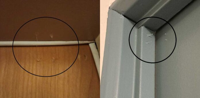 Photos from Vancouver Police Department website