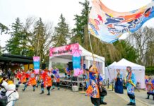 さくらデイズ・ジャパンフェア2026、これからも日本文化の発信を あっぱれよさこいバンクーバーのパフォーマンス。2026年4月11日、バンクーバー市。写真 斉藤光一/日加トゥデイ