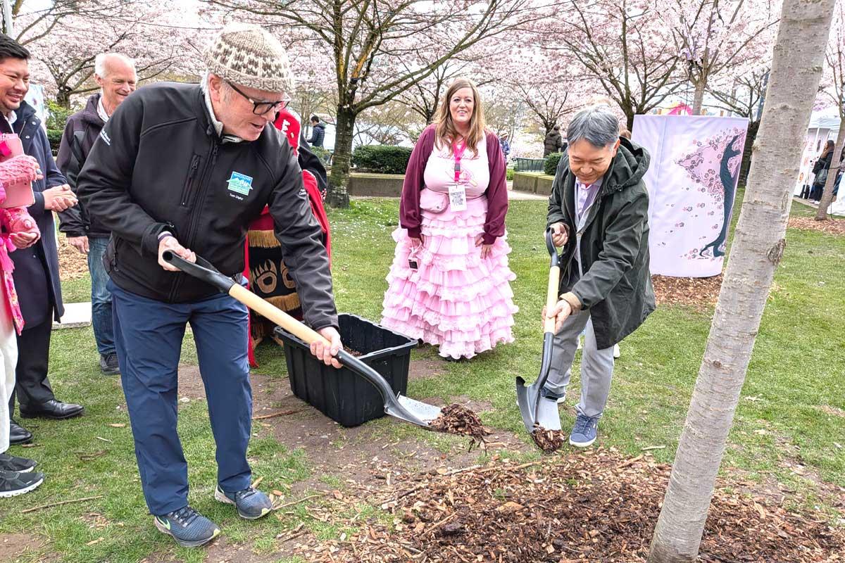 植樹式の様子。髙橋総領事（右）とバンクーバー市公園庁トム・ディグビー委員。関係者が順番に土をかぶせた。2026年3月28日、バンクーバー市。撮影　日加トゥデイ