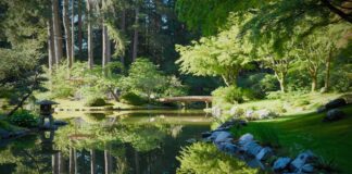 庭づくりとは、完成のない永遠のプロセス ―新渡戸ガーデン30年以上ぶりの大改修に込めた想い―