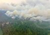 BC州で山火事が活発化、避難命令は16件に ブランスウィッククリークの山火事。2026年7月16日。Photo from BC Wildfire Service Website
