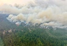 BC州で山火事が活発化、避難命令は16件に ブランスウィッククリークの山火事。2026年7月16日。Photo from BC Wildfire Service Website