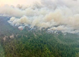 BC州で山火事が活発化、避難命令は16件に ブランスウィッククリークの山火事。2026年7月16日。Photo from BC Wildfire Service Website