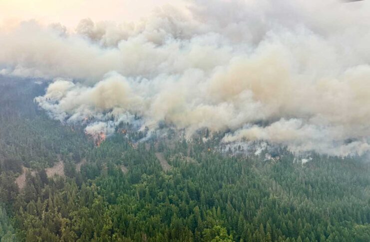 BC州で山火事が活発化、避難命令は16件に ブランスウィッククリークの山火事。2026年7月16日。Photo from BC Wildfire Service Website