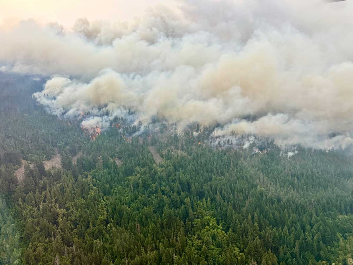 ブランスウィッククリークの山火事。2026年7月16日。Photo from BC Wildfire Service Website