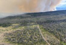 BC州で山火事広がり追加避難命令、ハイウェイ1も一部通行止め続く ブリティッシュ・コロンビア州ピアレイク近くで発生した山火事。2026年7月27日。Photo from BC Wildfire Service