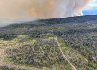 BC州で山火事広がり追加避難命令、ハイウェイ1も一部通行止め続く ブリティッシュ・コロンビア州ピアレイク近くで発生した山火事。2026年7月27日。Photo from BC Wildfire Service