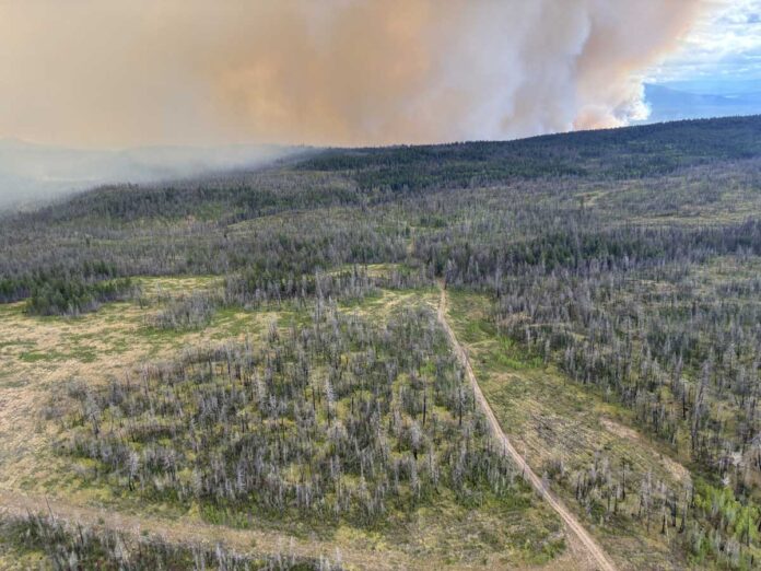 ブリティッシュ・コロンビア州ピアレイク近くで発生した山火事。2026年7月27日。Photo from BC Wildfire Service