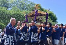 第50回パウエル祭 雨上がりの青空の下、多彩な日本文化を楽しむ バンクーバー神輿の会「楽一」によるみこし。大人と子どもが威勢のよい掛け声とともに会場を歩き、祭りを盛り上げた。2026年8月1日、バンクーバー市。写真 加藤さくら/日加トゥデイ