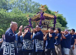 第50回パウエル祭 雨上がりの青空の下、多彩な日本文化を楽しむ バンクーバー神輿の会「楽一」によるみこし。大人と子どもが威勢のよい掛け声とともに会場を歩き、祭りを盛り上げた。2026年8月1日、バンクーバー市。写真 加藤さくら/日加トゥデイ
