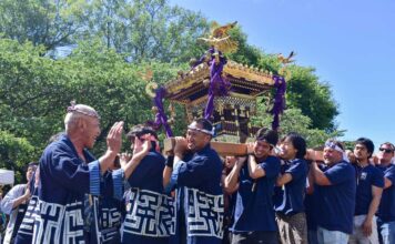 第50回パウエル祭 雨上がりの青空の下、多彩な日本文化を楽しむ バンクーバー神輿の会「楽一」によるみこし。大人と子どもが威勢のよい掛け声とともに会場を歩き、祭りを盛り上げた。2026年8月1日、バンクーバー市。写真 加藤さくら/日加トゥデイ