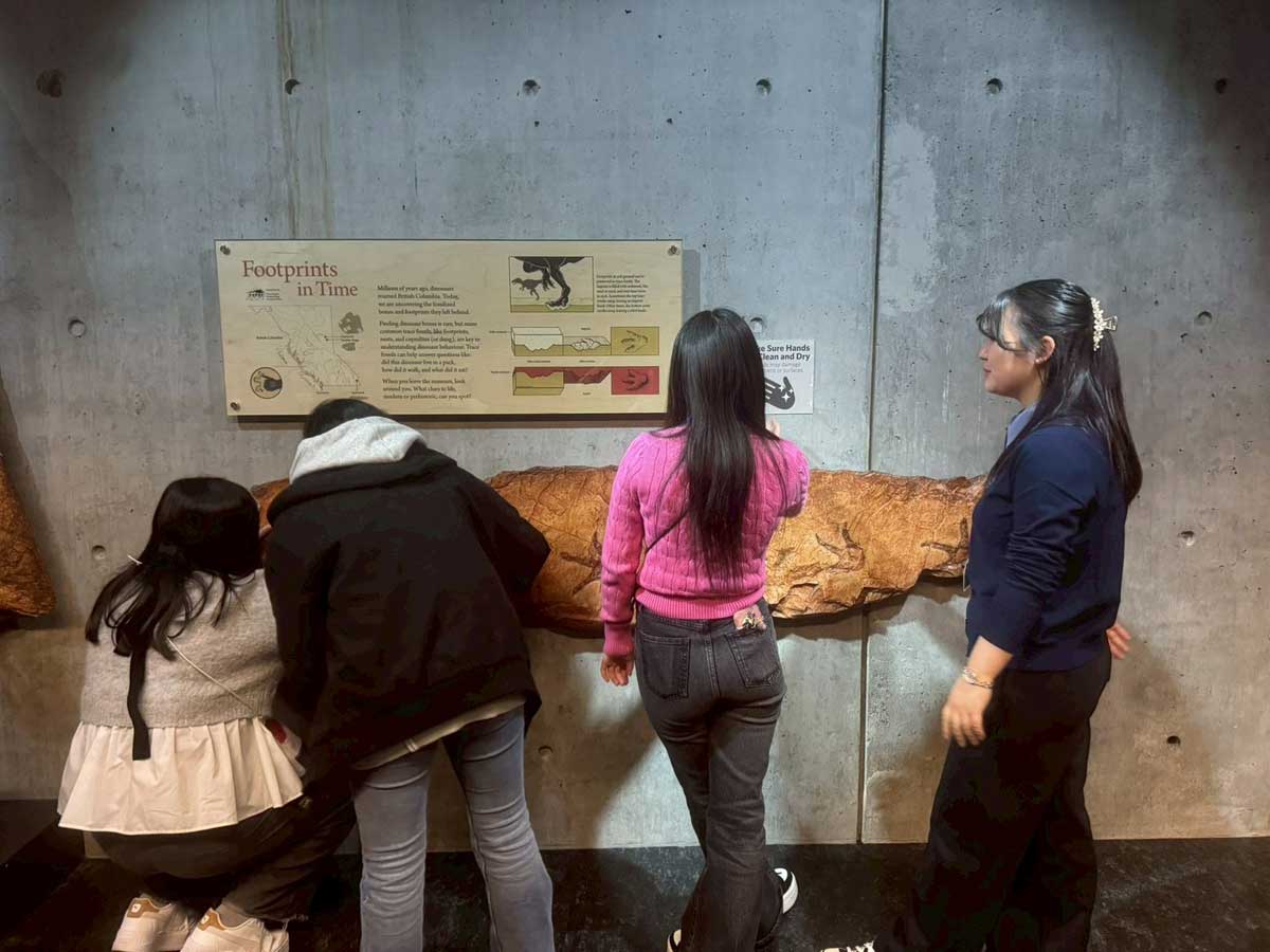 Beaty Biodiversity Museumの標本に興味を示す生徒たち(2026年3月21日撮影/提供:AK Jump Educational Consulting Inc.)