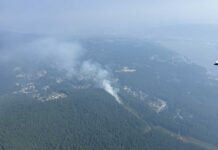 BC州の山火事拡大 避難命令は34件に、一時はメトロバンクーバーでも避難命令 ベルカラ・リージョナルパークで8月5日発生した山火事。Photo from BC Wildfire Service