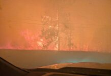 BC州で山火事による非常事態宣言発令 警察は発火原因の調査へ乗り出す ボールドランジ山火事、2026年8月7日。Photo from BC Wildfire Service