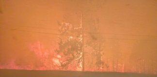 BC州で山火事による非常事態宣言発令 警察は発火原因の調査へ乗り出す ボールドランジ山火事、2026年8月7日。Photo from BC Wildfire Service